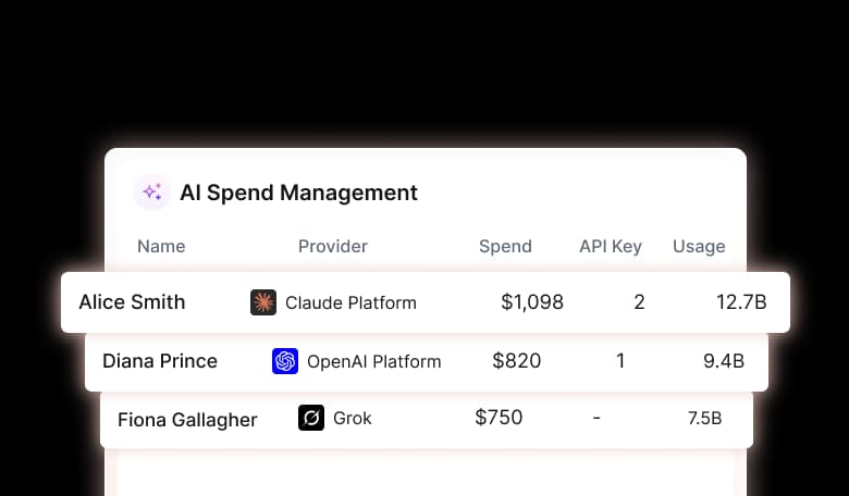 Table of people with their provider, spend, API key count and token usage