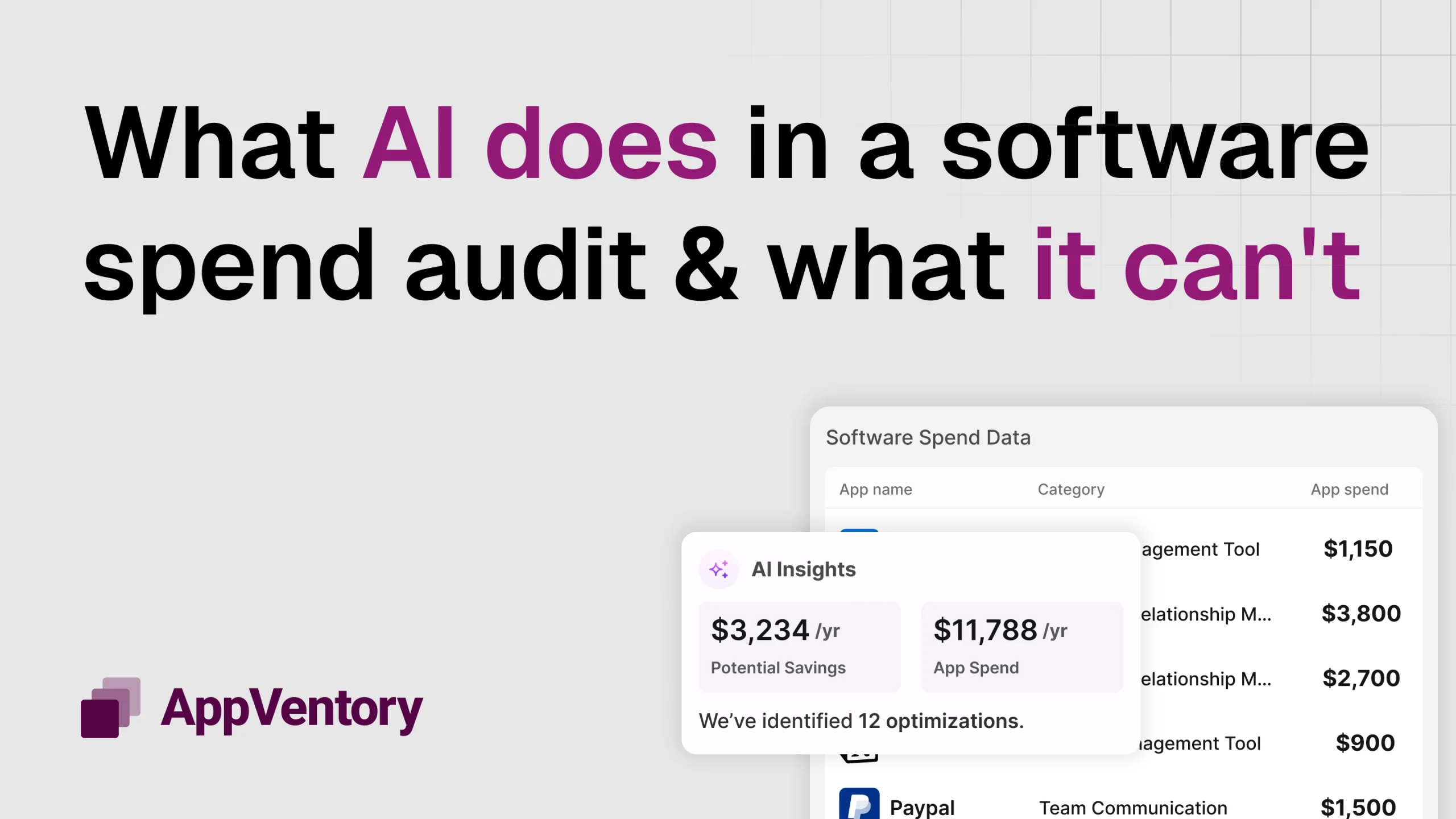 AI Software Spend Audit: What AI Does — and What It Can’t